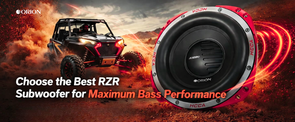 rzr subwoofer ideas